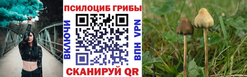 Псилоцибиновые грибы Psilocybine cubensis  где купить наркоту  Балахна 
